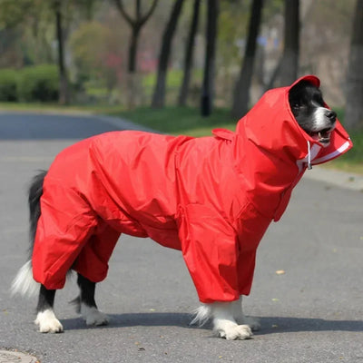 Manteau Imperméable à Capuche pour Grand Chien