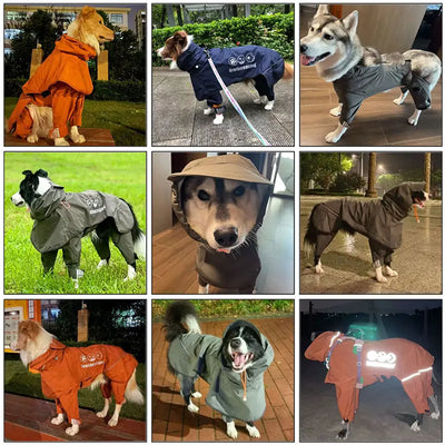 Combinaison Neige Coupe-Vent Imperméable Gros Chien