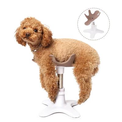 Support Ventral pour Table de Toilettage Petit Chien