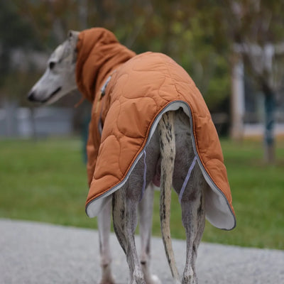 Veste Hiver Imperméable Doublure Épaisse Gros Chien