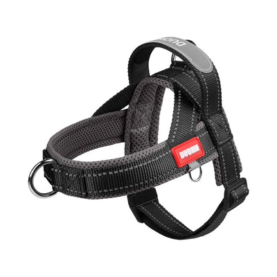 Harnais Chien Style Selle Réfléchissant Petit et Moyen Gabarit