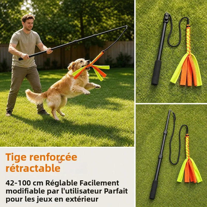 Flirt Pole Chien Réglable 42-100 cm Deux Jouets Corde