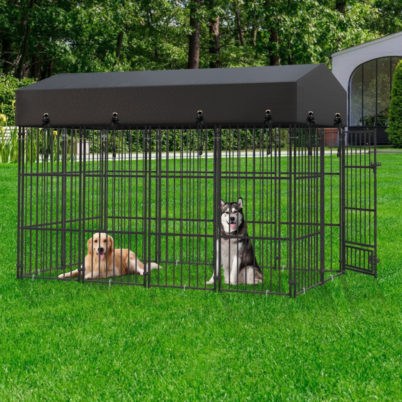 Enclos Extérieur pour Chien avec Toit Métal Robuste