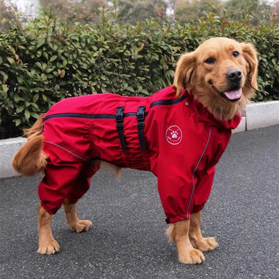 Manteau Pluie Réfléchissant Combinaison Gros Chien