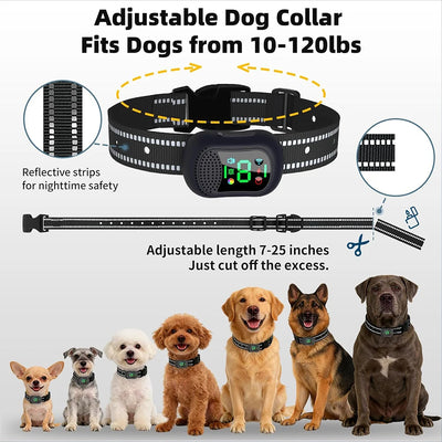 Collier Électrique de Dressage Télécommande 1500 m Chien