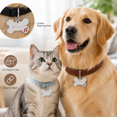 Médaille Gravée en Os à Griffes pour Chien
