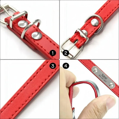 Collier Cuir Personnalisé Gravé pour Chien