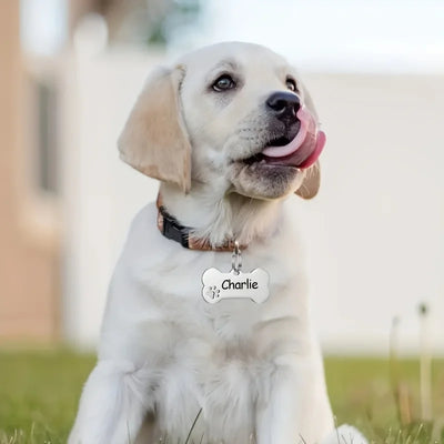 Médaille Os Doré Empreintes de Pattes Personnalisée Chien