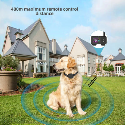 Clôture Électrique Sans Fil Étanche Gros Chien