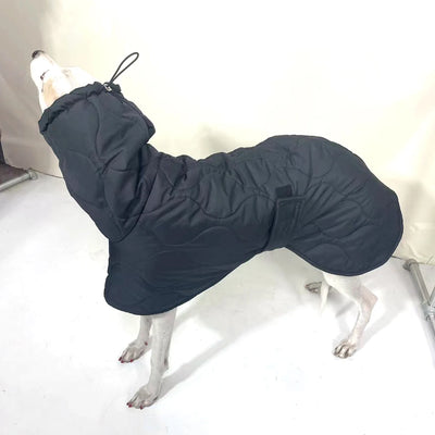 Manteau d'Hiver Noir Col Montant Lévrier Greyhound