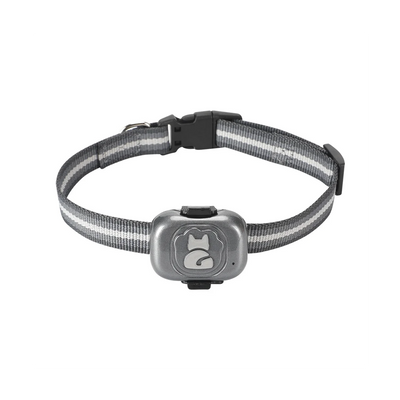 Traceur GPS 4G Chien Étanche à Clipser sur Collier