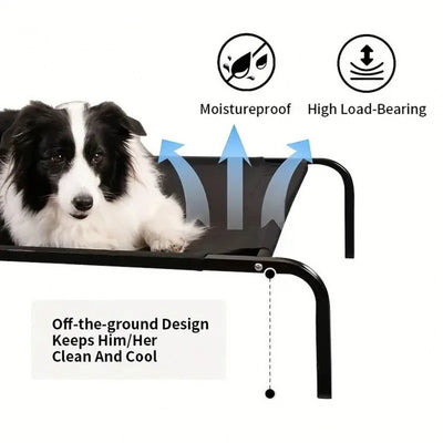 Lit Surélevé pour Chien Toutes Saisons, Cadre Métal Démontable