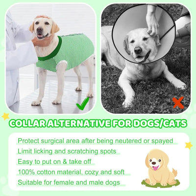 Body Post-Opératoire Chien Alternative Collerette Grande Taille
