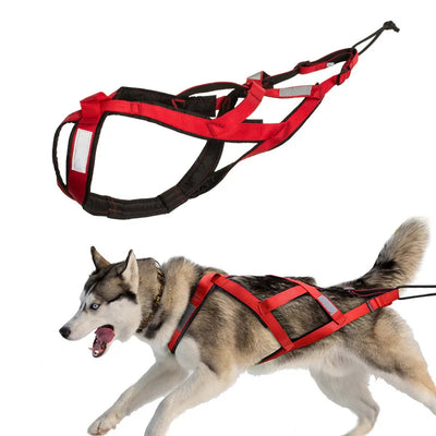 Harnais de Traîneau Husky Extérieur Traction de Poids