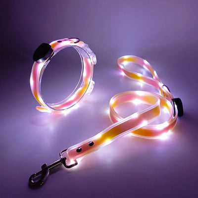 Collier et Laisse LED Lumineux pour Chien