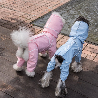 Manteau Imperméable pour Petit Chien Quatre Pattes Réfléchissant