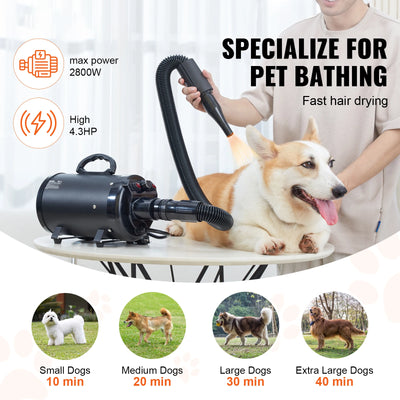 Souffleur pour Chien 2000W Toilettage 4 Buses SucceBuy