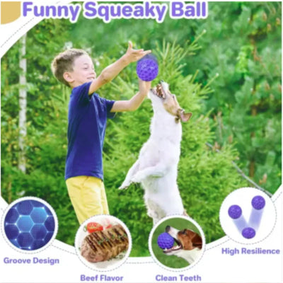 Jouet Indestructible Balle Sifflante Hexagonale à Mâcher S ou L