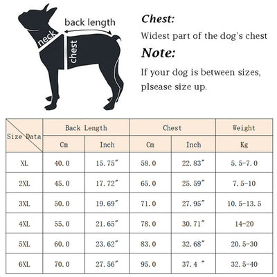 Doudoune Imperméable Réfléchissante Chien Anneau D