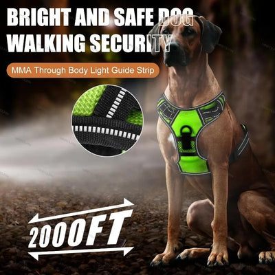 Harnais Lumineux LED pour Chien Sécurité Nocturne