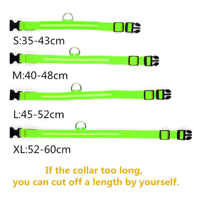 Collier Lumineux LED USB pour Chien