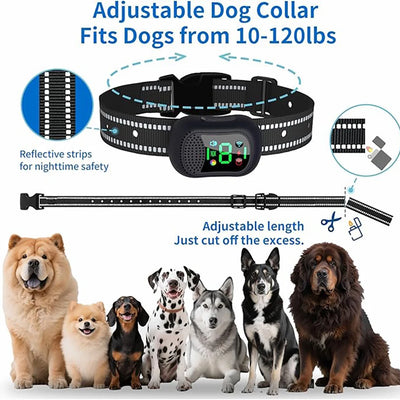 Collier Dressage 4900ft Gros Chien IP67