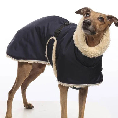Manteau Imperméable Lévrier Greyhound Doublé Polaire Col Haut
