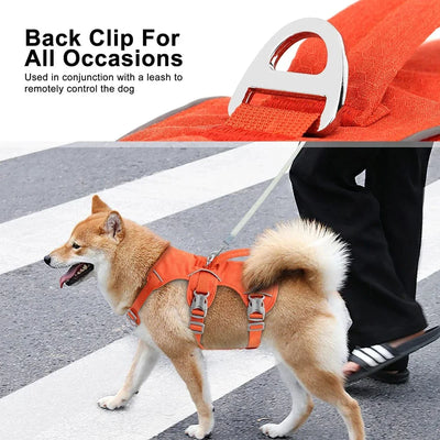 https://cdn.shopify.com/s/files/1/0489/2898/1148/files/S11c570eb076e4aea8d138a9574b776327_0eca1cf7-26d3-4c0d-9fb1-a2548d4bb398.webp?v=1742985911