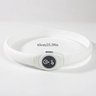 Collier LED Étanche USB pour Chien