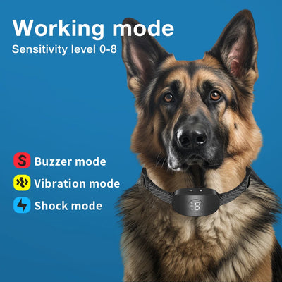 Collier Anti-Aboiement IP67 Gros Chien 4 Modes