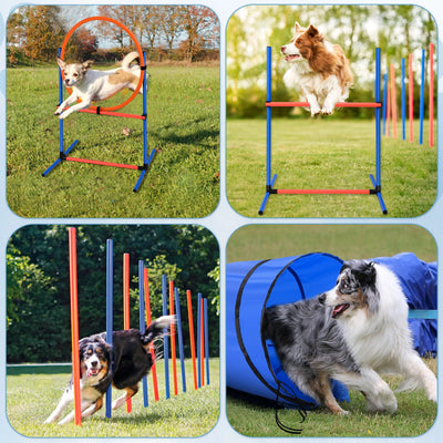 Set d'Obstacles Agility pour Chien avec Tunnel et Haie
