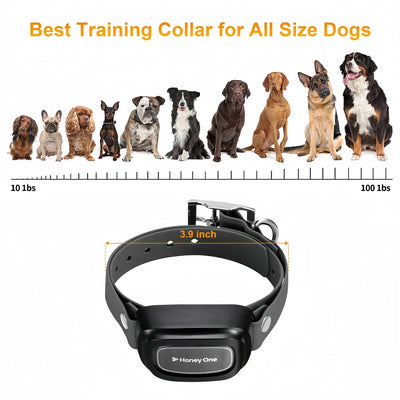 Collier Dressage 3400ft Gros Chien IPX7