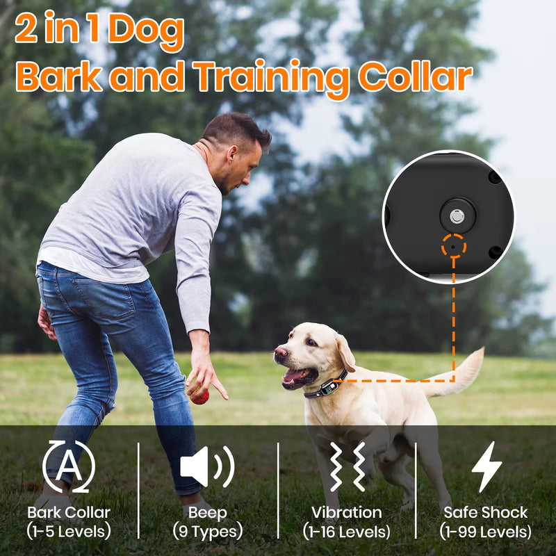 Collier Dressage IA Gros Chien 1000m IPX7