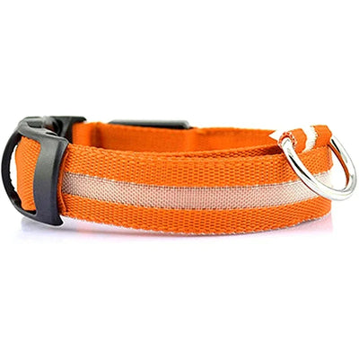 Collier LED Veilleuse Rechargeable pour Chien
