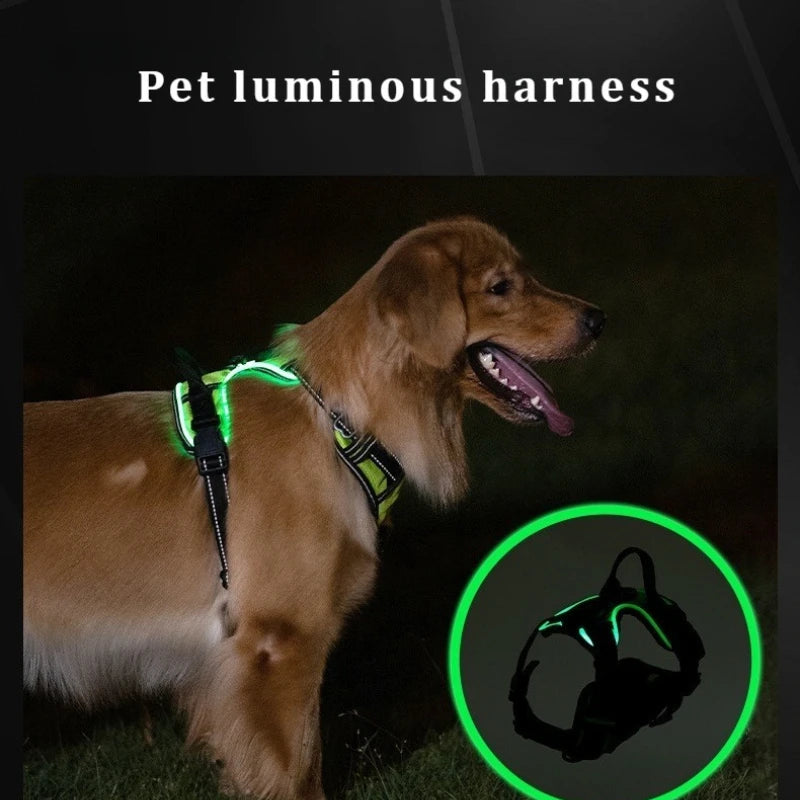 Harnais Lumineux LED Rechargeable Grand Chien