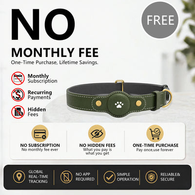 Collier GPS Chien Sans Abonnement Compatible iPhone et Android
