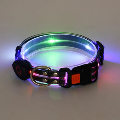 Collier et Laisse LED Lumineux pour Chien