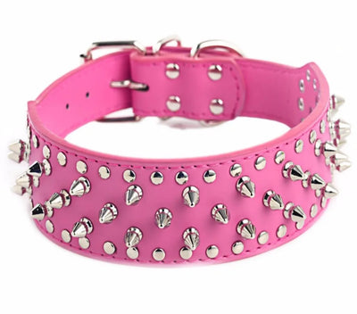 Collier Cuir Clouté Pitbull Mastiff