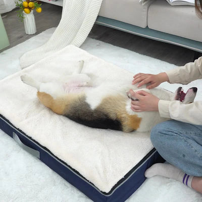 Panier Orthopédique pour Chien Mousse à Mémoire de Forme