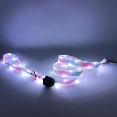 Collier et Laisse LED Lumineux pour Chien
