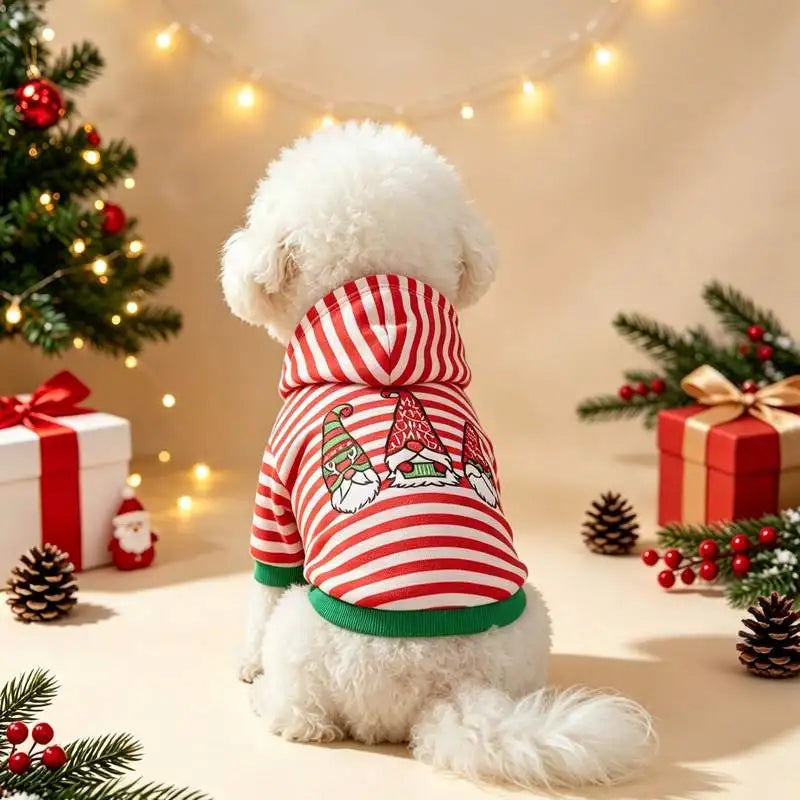 Sweat de Noël Rayé Lutin Chien