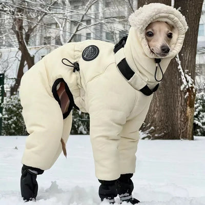 Manteau Hiver Doudoune Gros Chien Whippet Greyhound