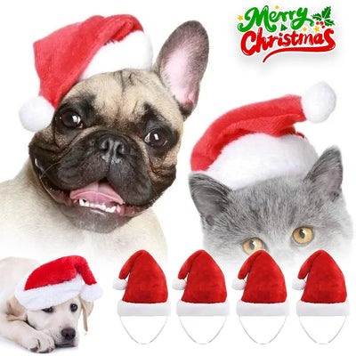 Chapeau de Père Noël Moelleux pour Chien