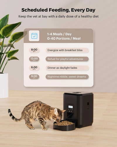 Distributeur de Croquettes Compact 2 L WiFi Programmable