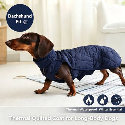 Manteau Imperméable Matelassé pour Teckel et Chien à Dos Long