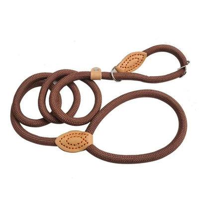 https://cdn.shopify.com/s/files/1/0489/2898/1148/files/S167f198f038b448fa1f2aa82be465933Q.webp?v=1742980335