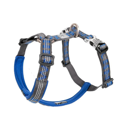 https://cdn.shopify.com/s/files/1/0489/2898/1148/files/S16992a1fc2ab478bb83c525310eb3022z.webp?v=1742985565