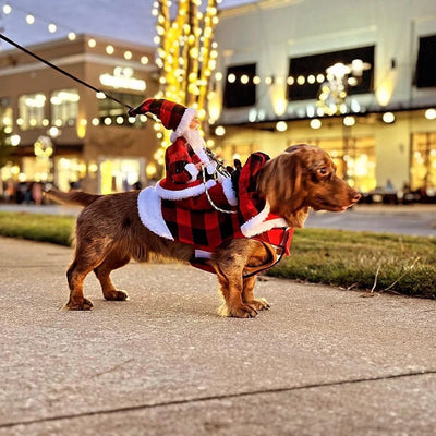 Costume de Fêtes de Noël pour Chien