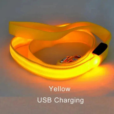 Laisse LED Corde Lumineuse pour Chien