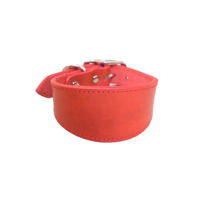 Collier Cuir Large Anti-Traction pour Grand Chien